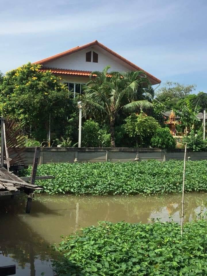 For Sales : Land on the Chao Phraya River, 2 Rai