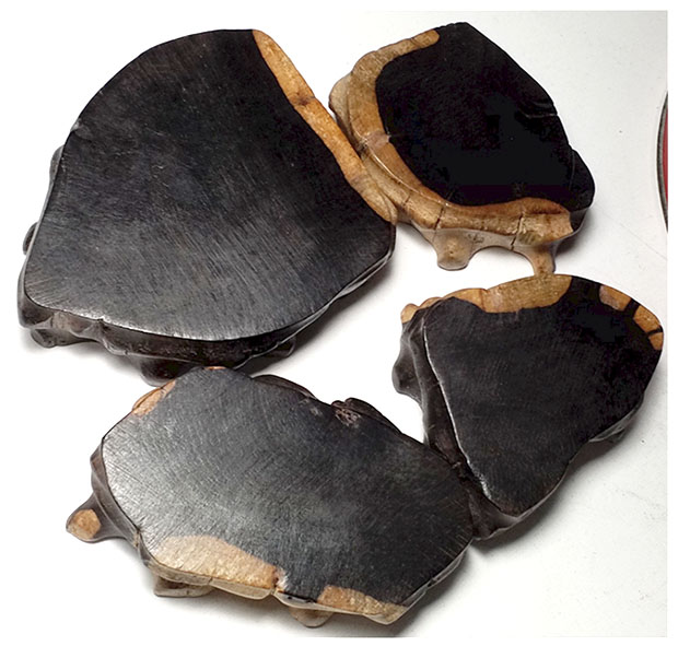 ฐานไม้มะเกลือ(African Ebony)ตัวอย่าง