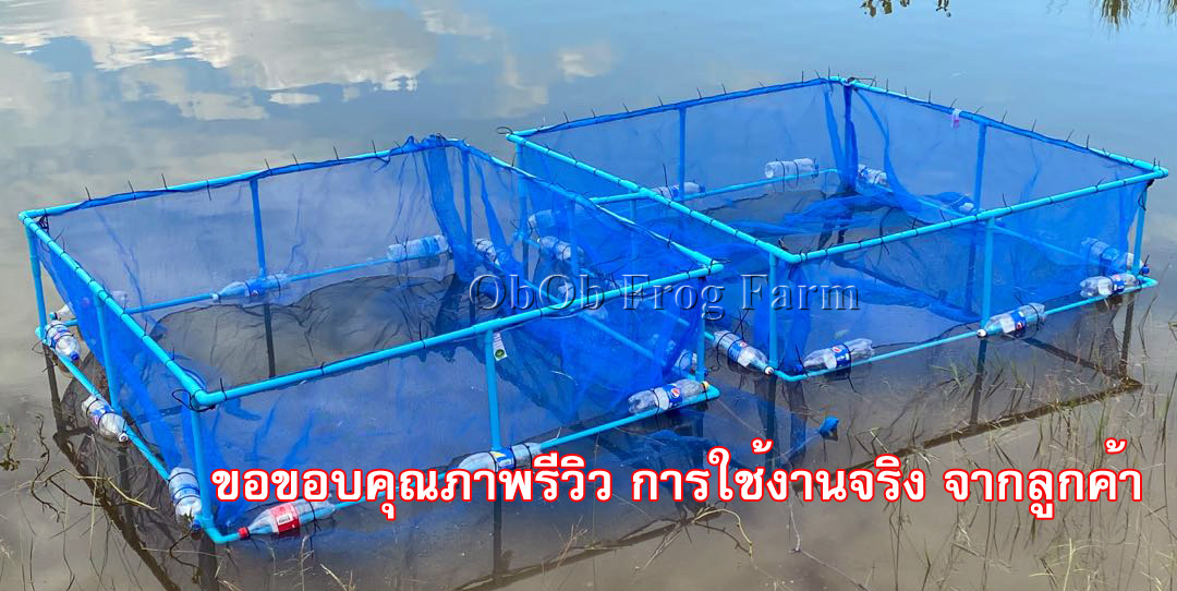 กระชังมุ้งไนล่อน 16ตา/นิ้ว รุ่นลึก 1.2 ม. ( กระชังในน้ำ ไม่มีฝา ) ใช้เป็น กระชังเลี้ยงปลา กระชังใส่ปลา กระชังเลี้ยงกบ