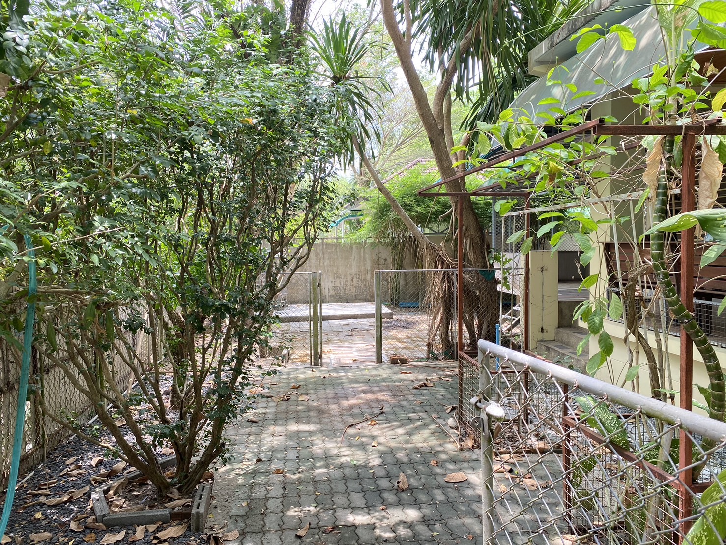 For Rent : Thalang, One-Story Detached House @Manik, 2 Bedrooms 2 Bathrooms