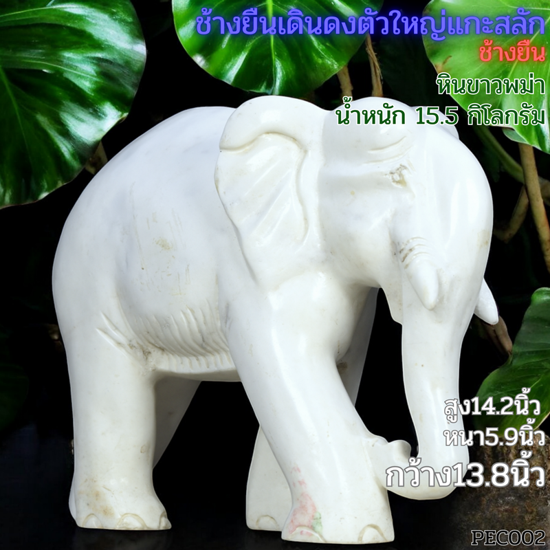ช้างแกะสลักจากหินขาวพม่ากว้าง13นิ้วหินขาวพม่า