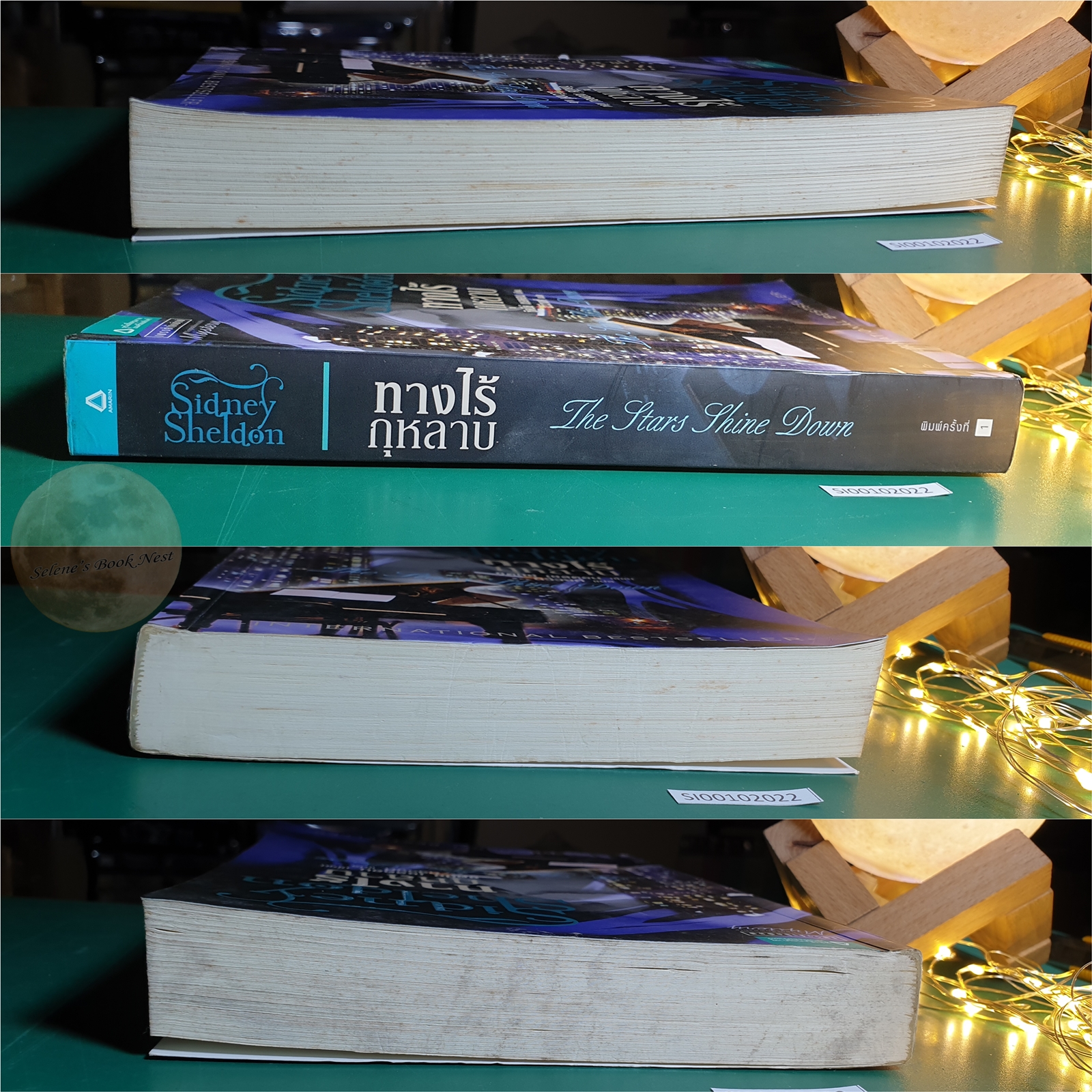 ทางไร้กุหลาบ (The Stars Shine Down) / Sidney Sheldon (ซิดนีย์ เชลดอน)