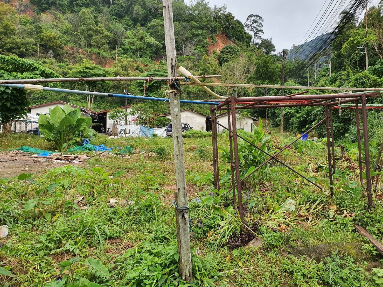 For Sales : Land Kathu, Near Patong , 70 SQ.W.