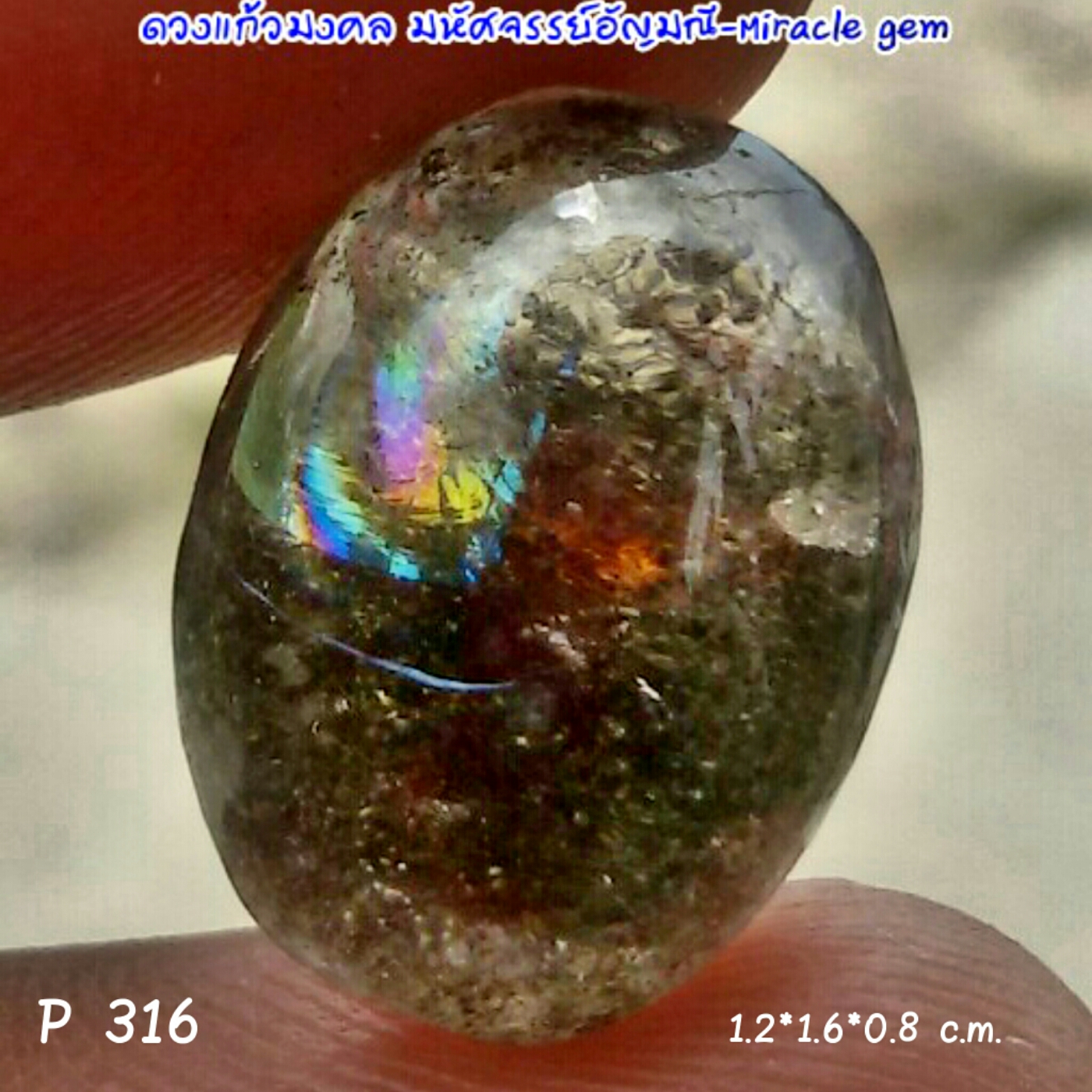 P316 แก้วปวกเขียวกาบรุ้งสักรชาติ