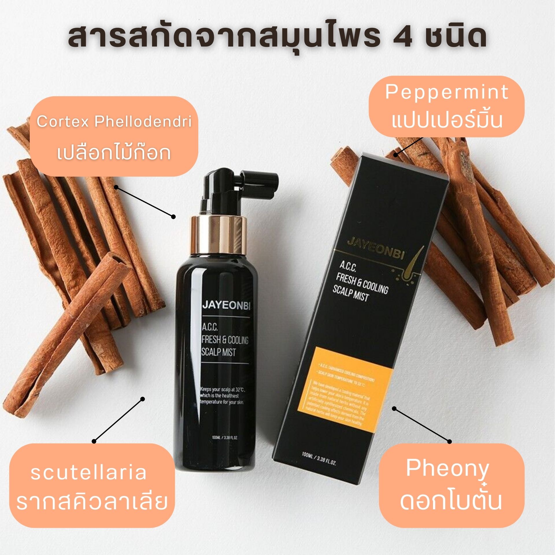 JAYEONBI A.C.C. FRESH &COOLING SCALP MIST
