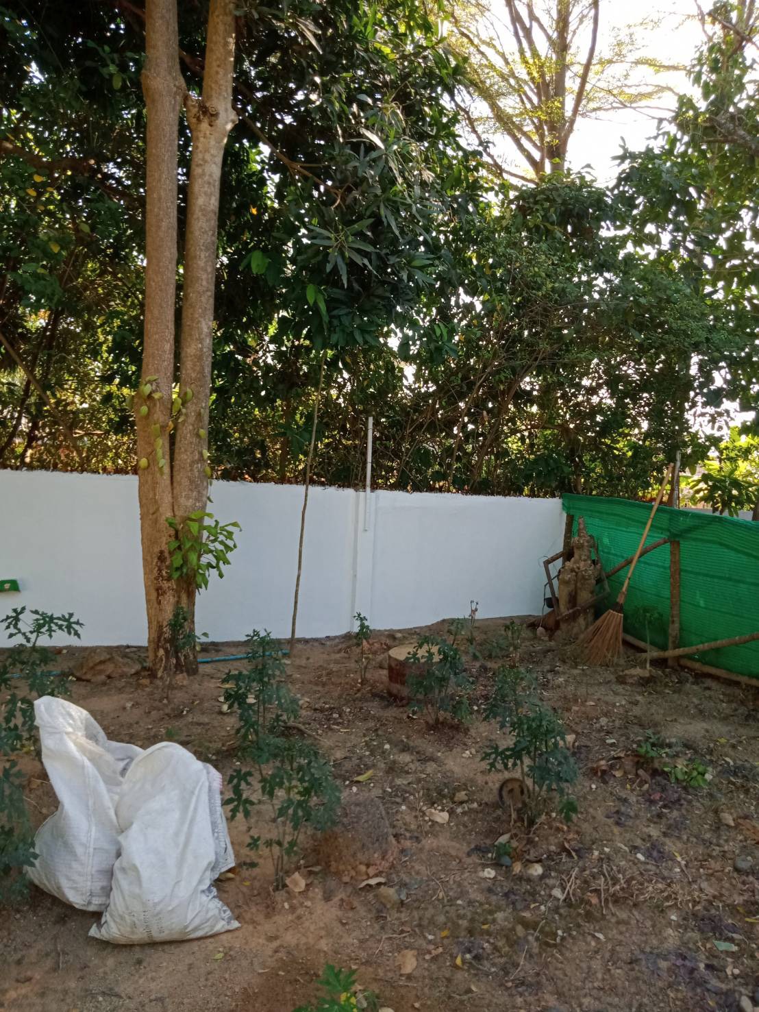 For Sales : Land Rawai, Soi Namjai , 64 SQ.W. , Garden View.