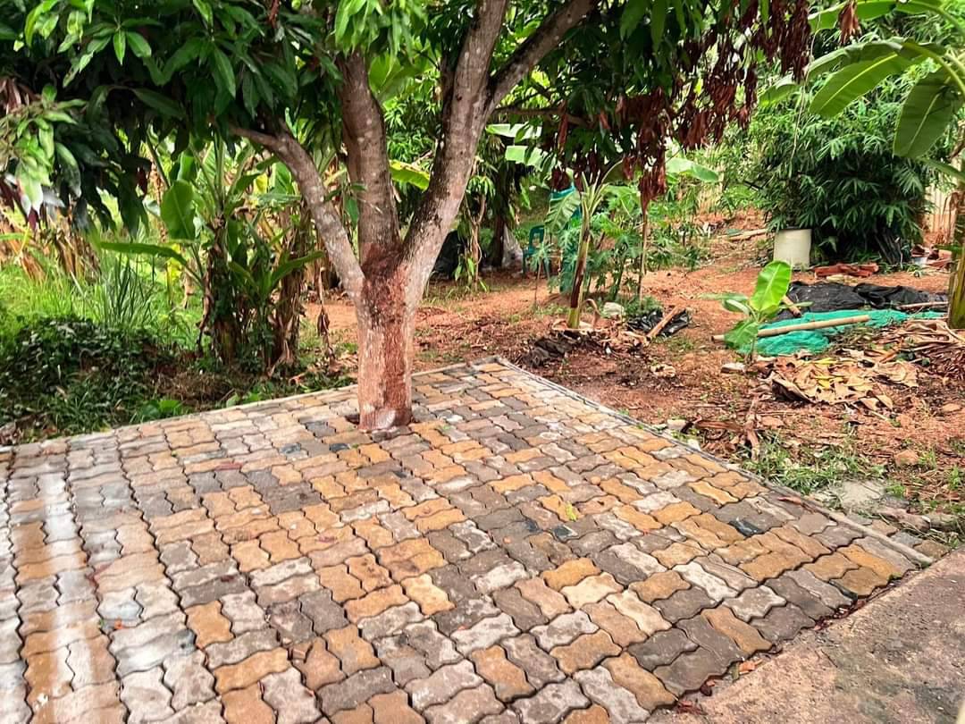 For Sales : KuKu, Semi-detached house, 3 bedrooms 2 bathrooms