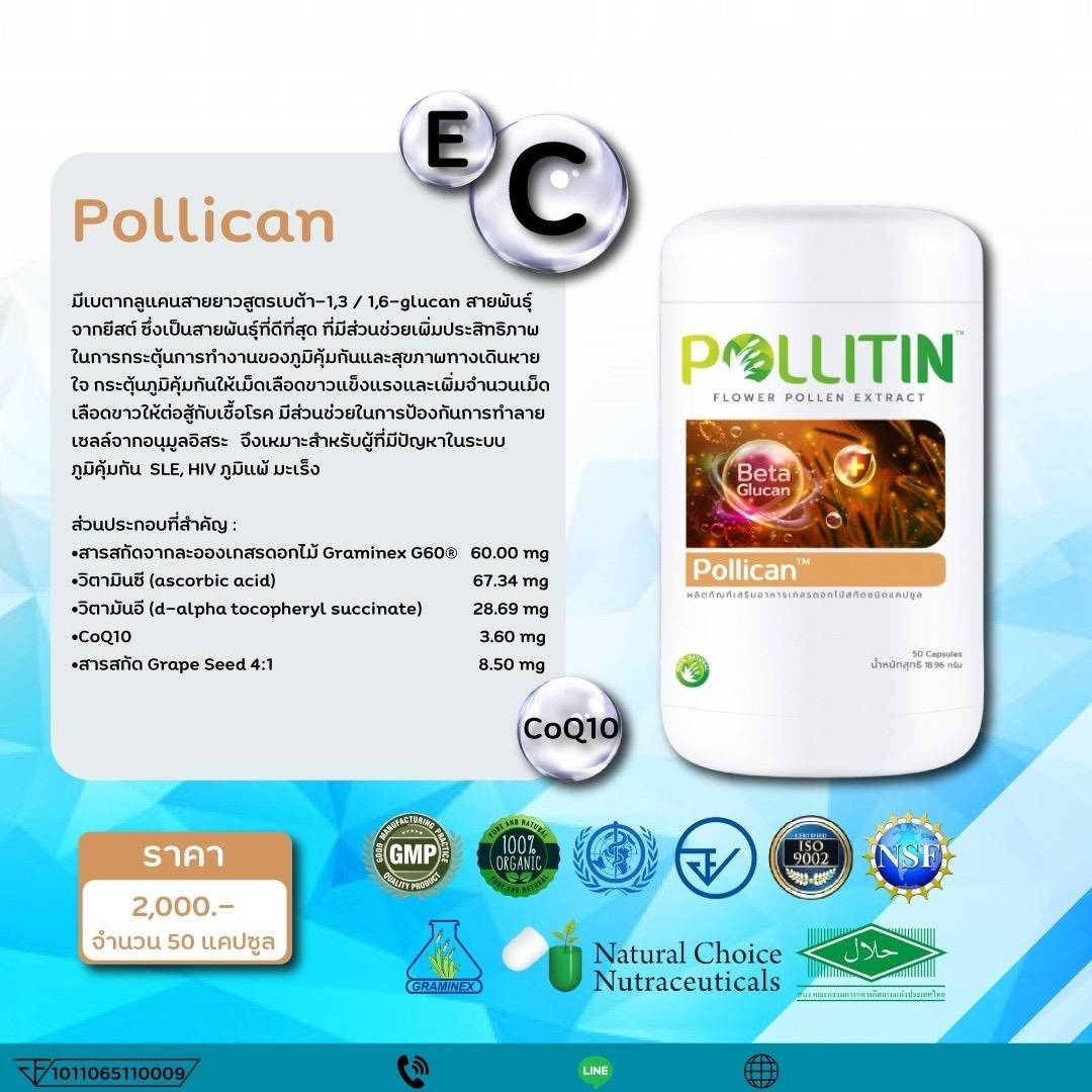 พอลลิติน พอลลิตัน Pollitin Pollican พอลลิแคน(เพิ่มภูมิคุ้มกัน)