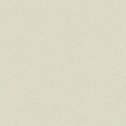 FT 60X60 ซอลท์ เบจ (HYG) ตัดขอบ PM