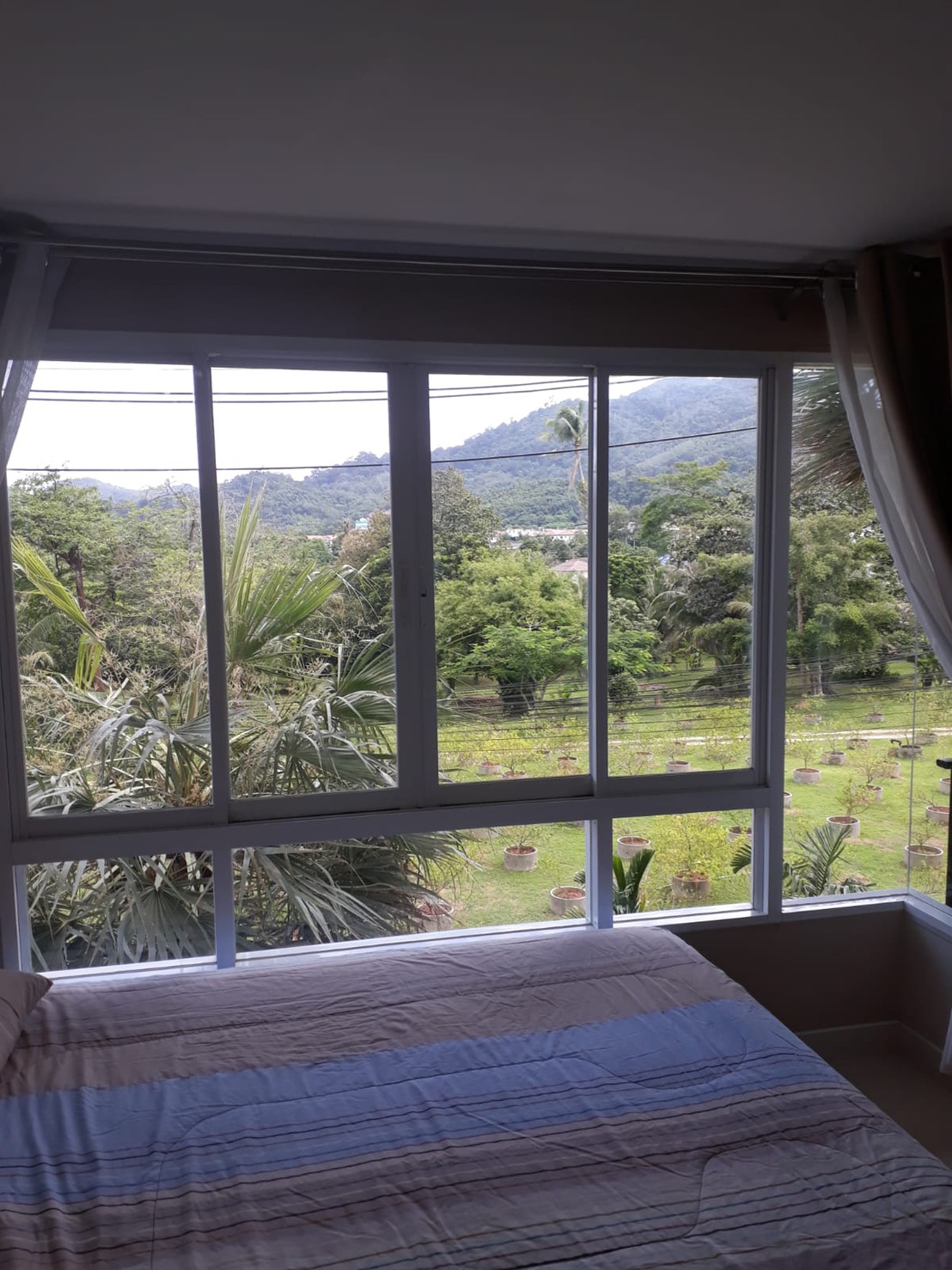 For Rent : Kathu Plus Condominium(2) 1 bedroom 1 Bathroom 3th floor Green view