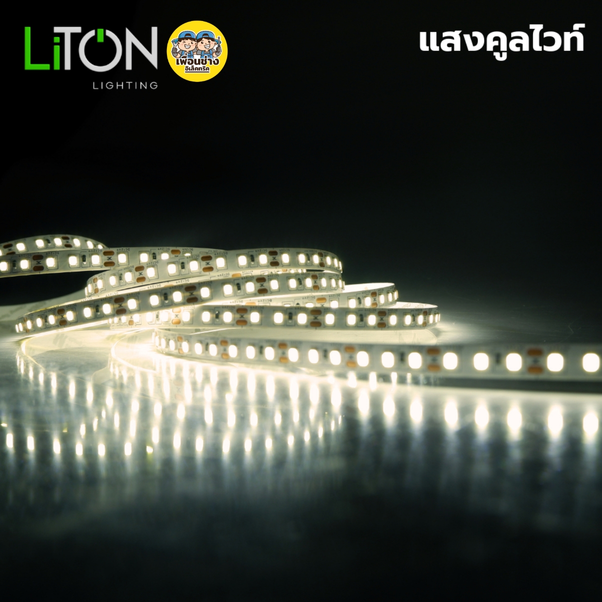 LiTON ไฟเส้น DC LED 12V SMD 2835 รุ่น Spectrum 10W สายยาว 5 เมตร IP20 สีเดียว มี3แสงให้เลือก แสงขาว แสงวอร์มไวท์ แสงคูลไวท์