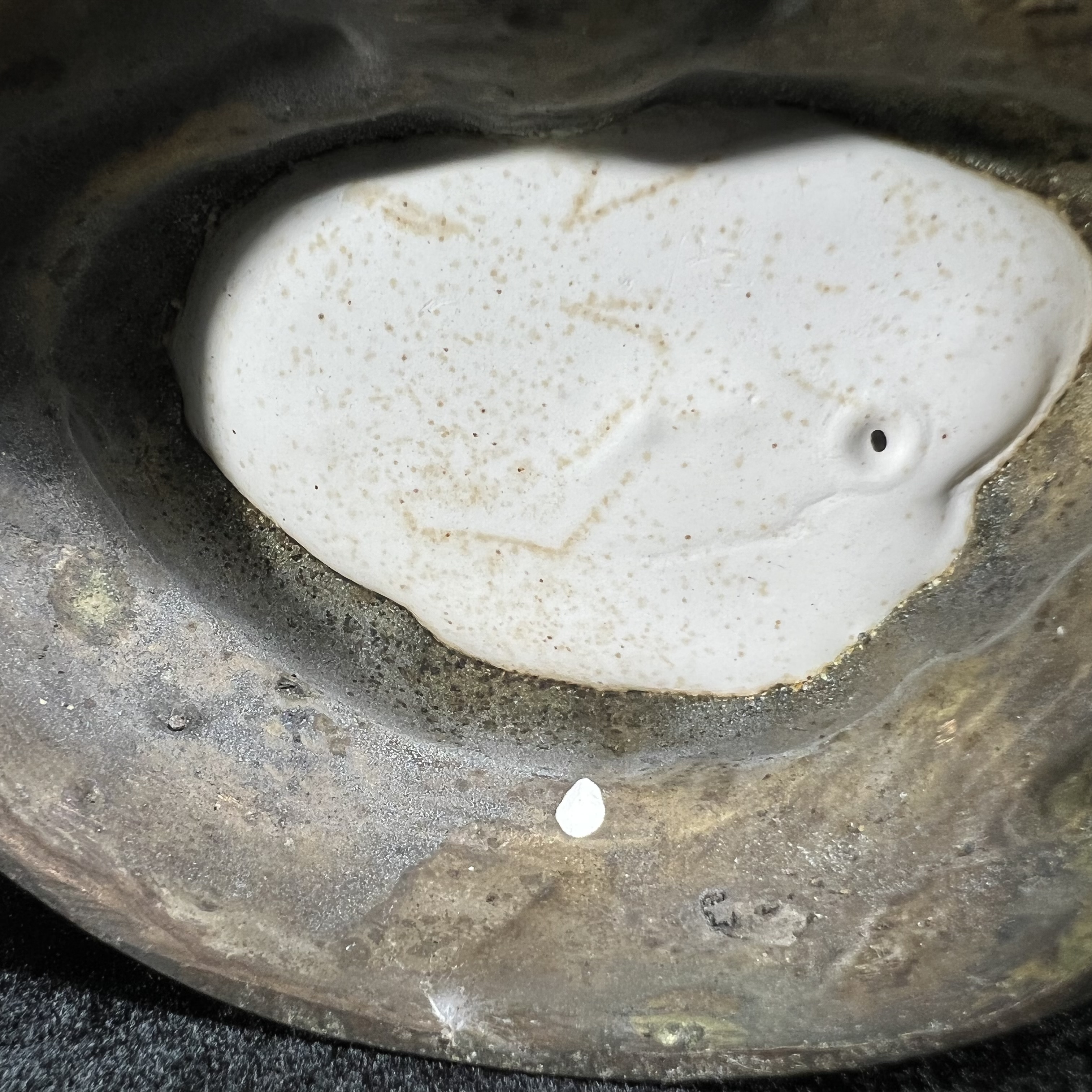 พระวุฒิจิตรลดามหามงคล ปี2542 หน้าตัก 3.5นิ้ว(อีก1ของดีที่หายาก)