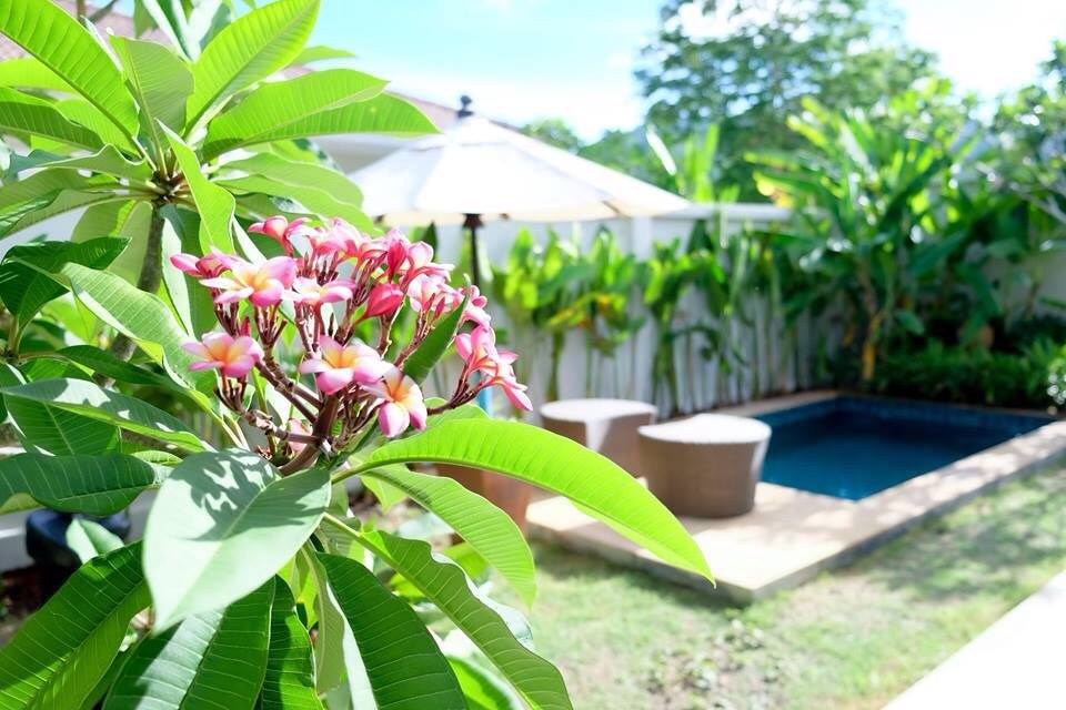 Exclusive Private 2 Bedroom Villas for Rent locate in Chalong Big Buddha Phuket