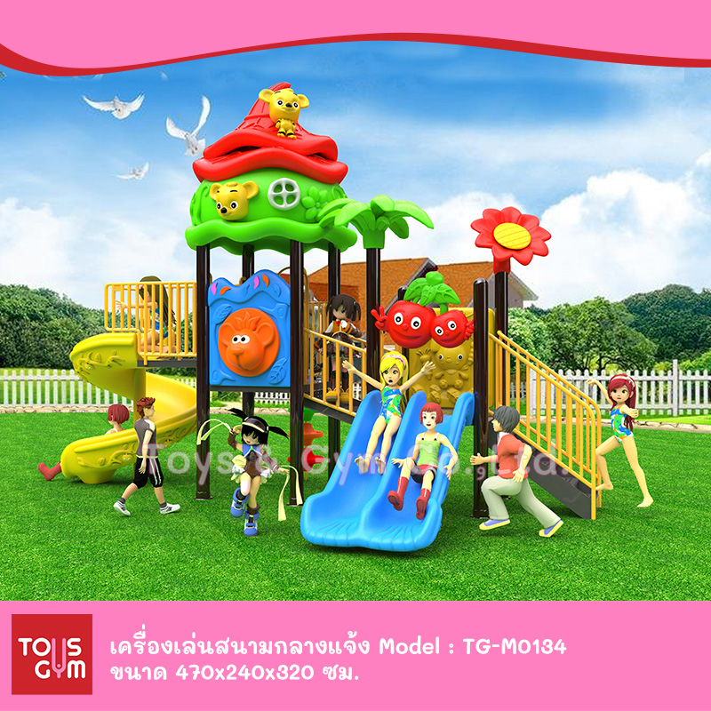 เครื่องเล่นสนามกลางแจ้ง ชุด TG-M0134