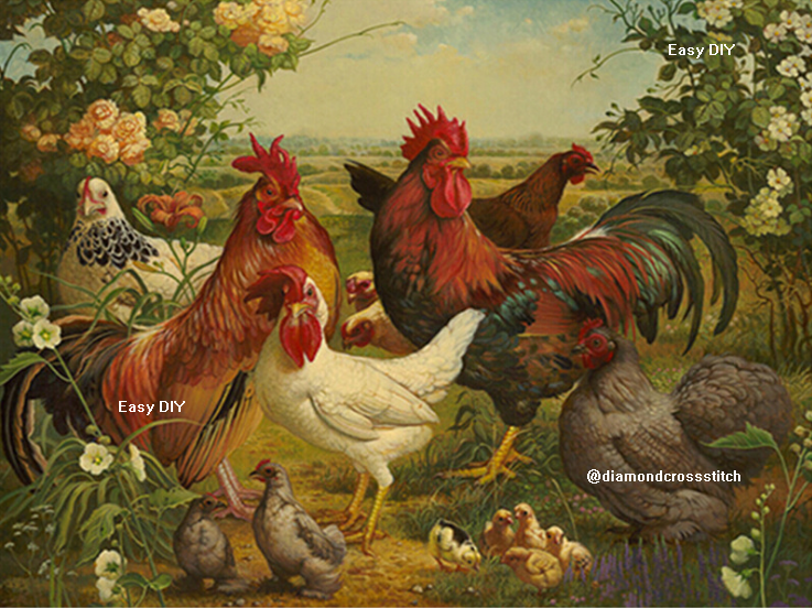 ไก่บ้าน