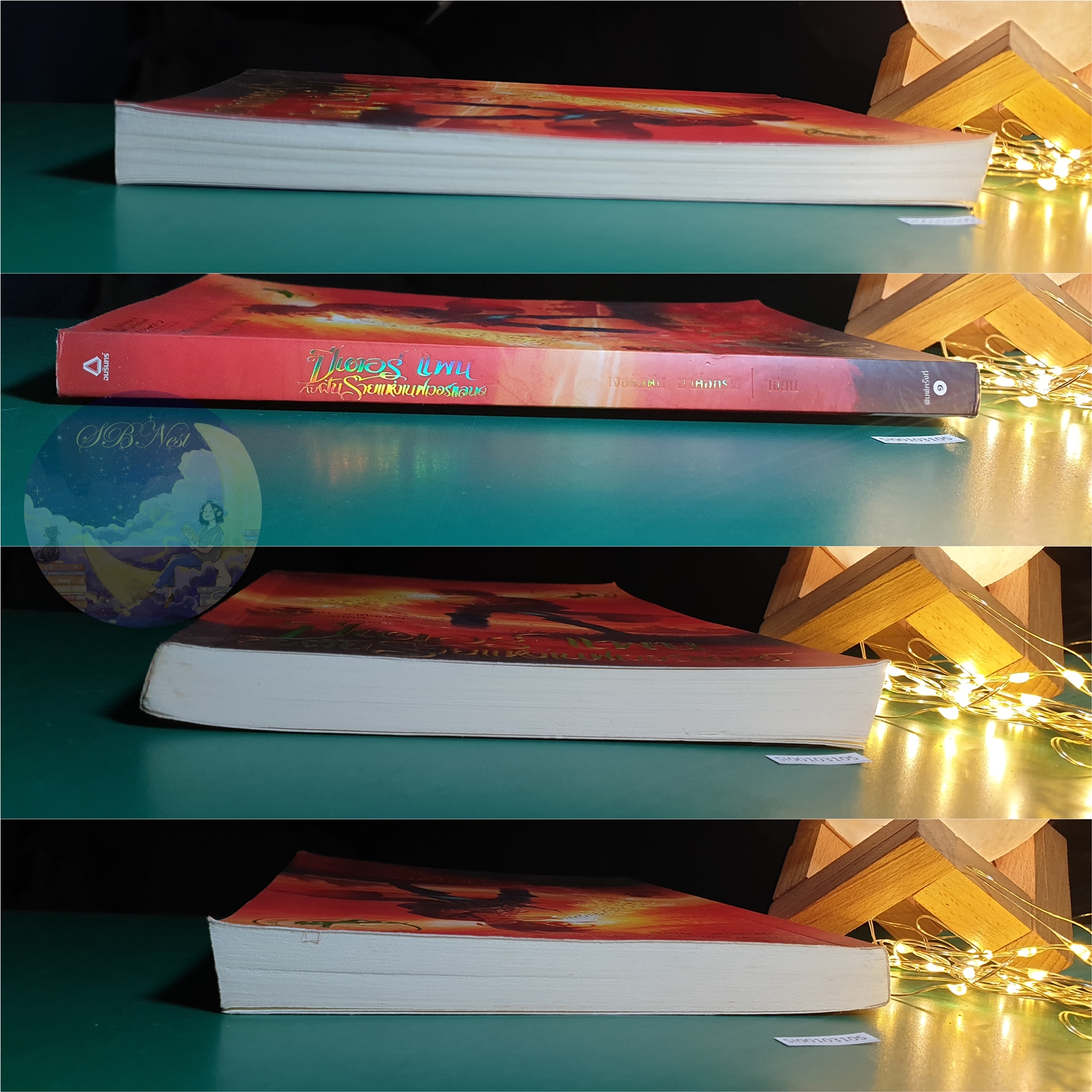 ปีเตอร์ แพนกับฝันร้ายแห่งเนฟเวอร์แลนด์ (Peter Pan in scarlet) / Geraldine McCaughrean