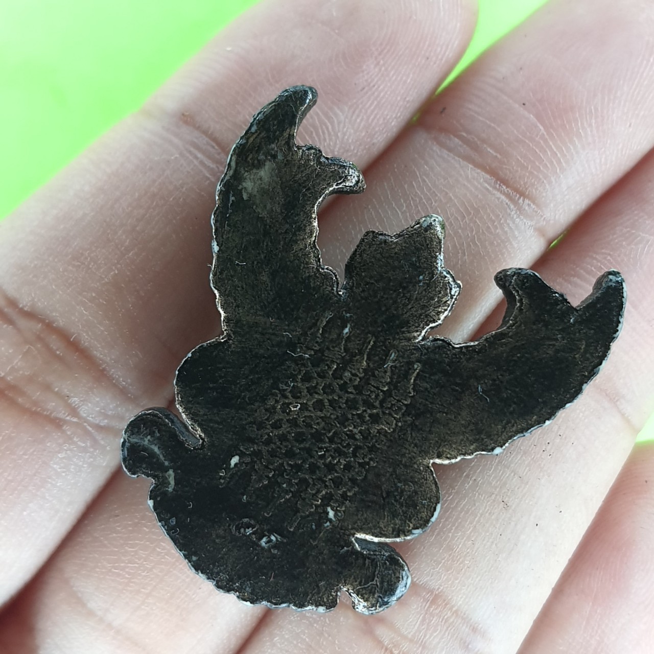 พระเครื่อง พญาครุฑห้อยคอ รุ่น รุ่งเรือง อำนาจ บารมี สีดำทำเก่า จี้พญาครุฑ พญาครุฑแท้