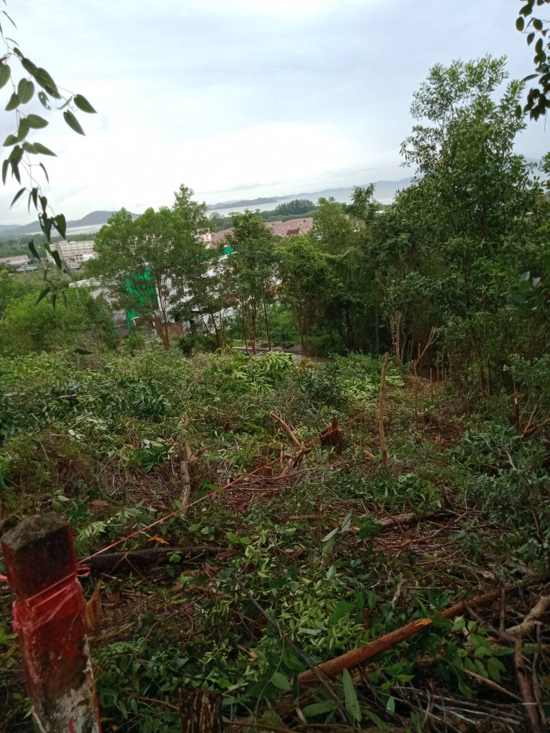 For Sales : Land Kathu, Near Phumontra , 323 Sq.w.