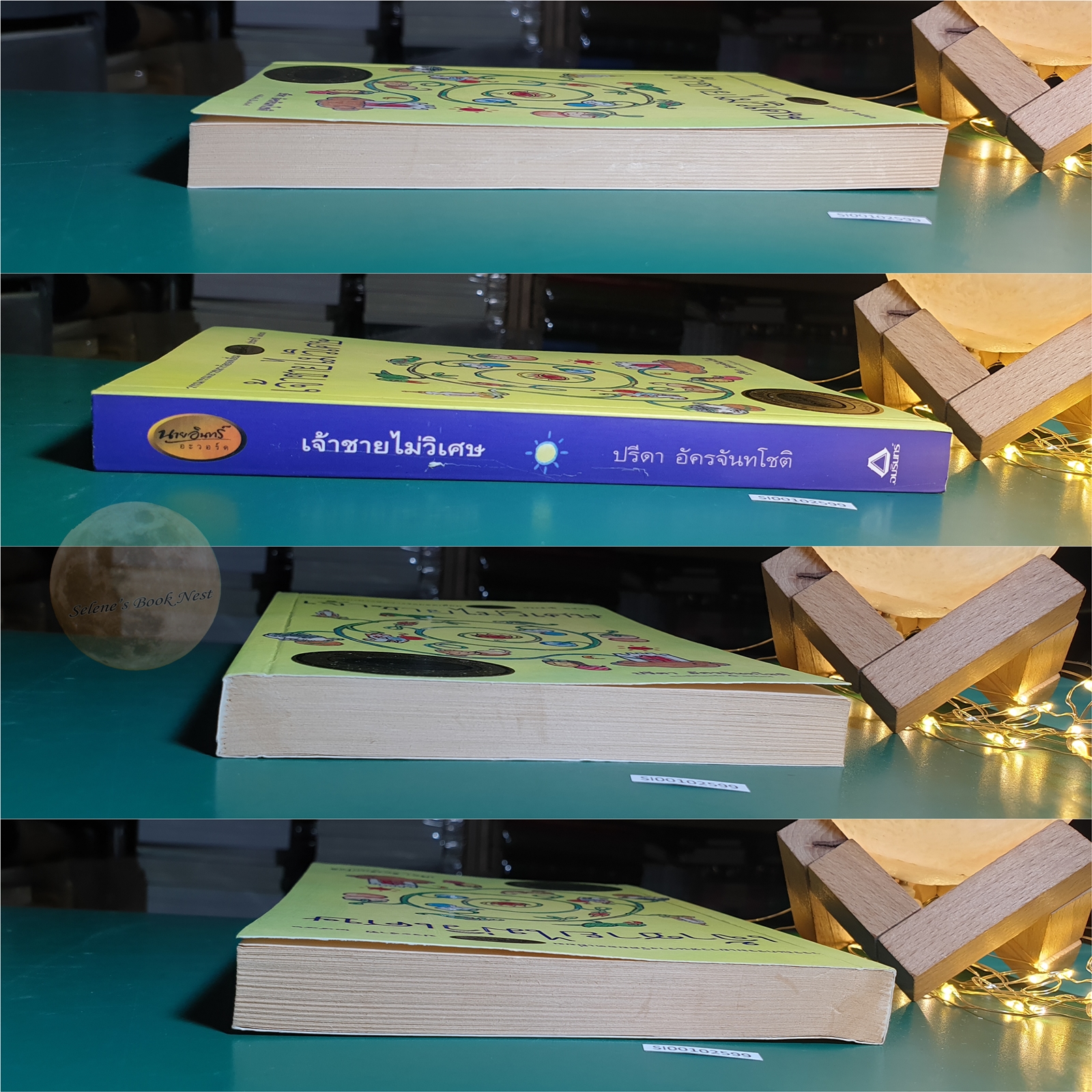 เจ้าชายไม่วิเศษ / ปรีดา อัครจันทโชติ