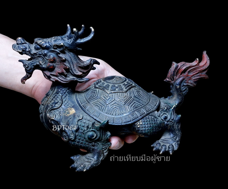 เต่ามังกร หลังหยินหยางยันต์แปดทิศ