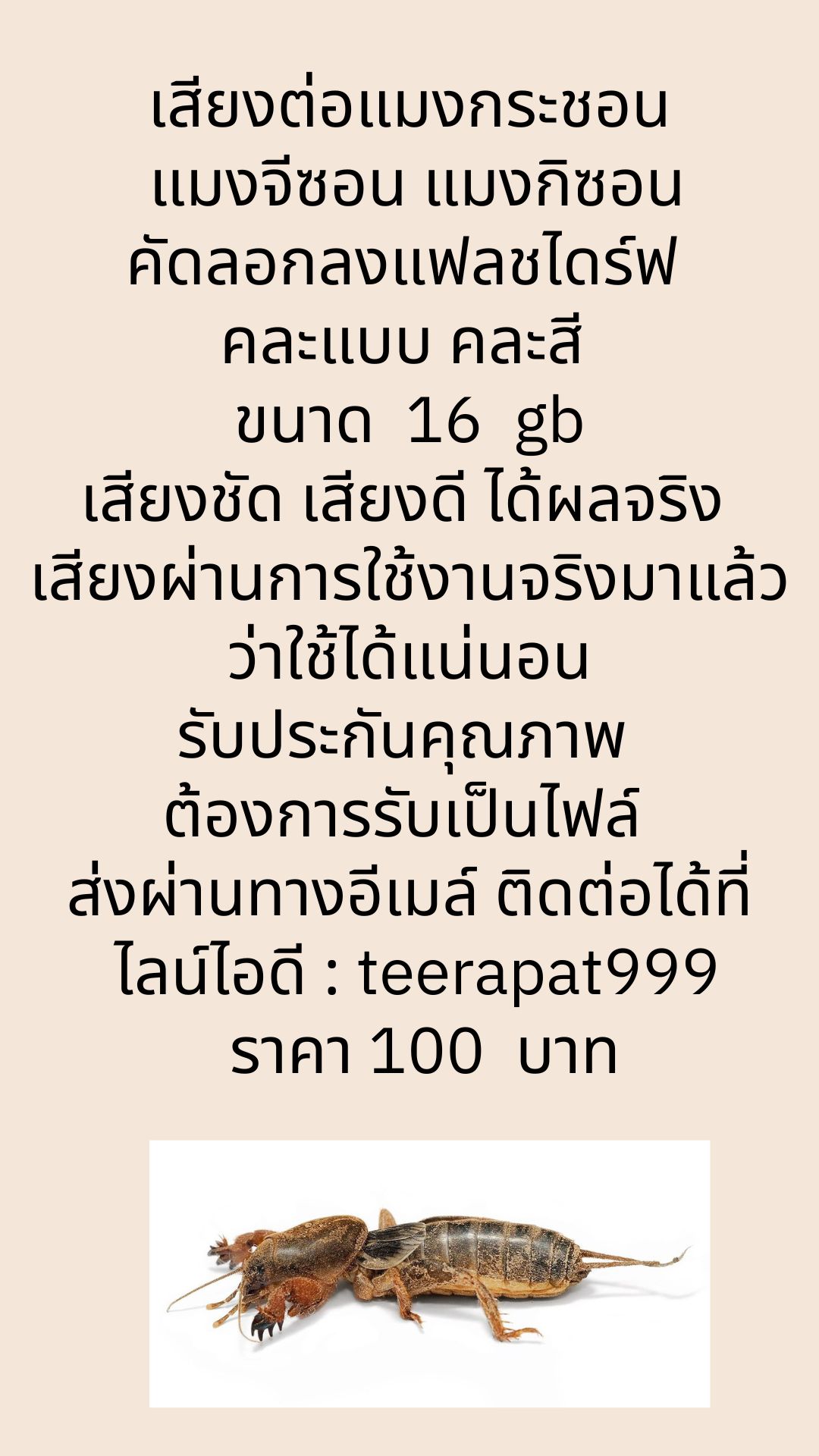 เสียงธรรมชาติ ต่อแมงกระชอน ล่อแมงจีซอน เสียงชัด รับประกันคุณภาพ (เสียงต่อสัตว์ ไฟล์ MP3)