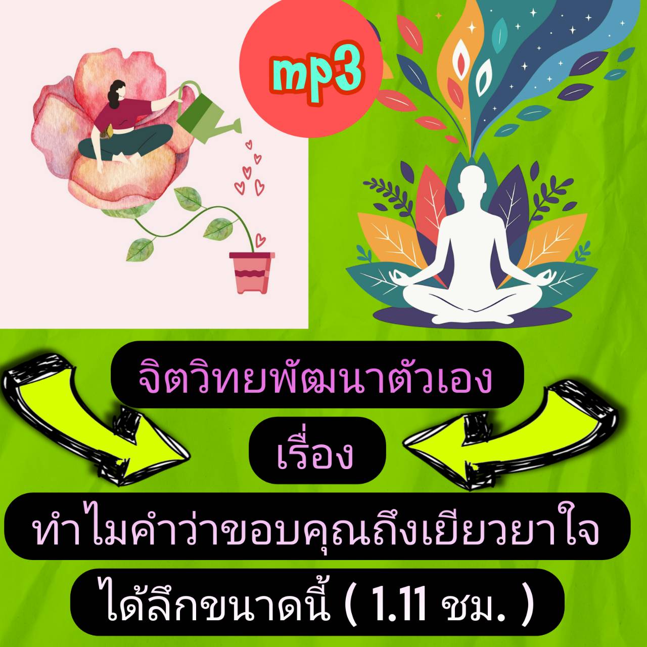 [พรเทวะ] แฟลชไดร์ฟ USb mp3 จิตวิทยพัฒนาตัวเอง เรื่อง ทำไมคำว่า ขอบคุณ ถึงเยียวยาใจได้ลึกขนาดนี้ (1.11 ชม.) พิกัด https://www.lazada.co.th/products/i5800300355.html?spm=a1zawg.24863640.table_online_product.1.27801e131EErel ทำไมแค่รู้สึก “ขอบคุณ” เล็ก ๆ ในใ
