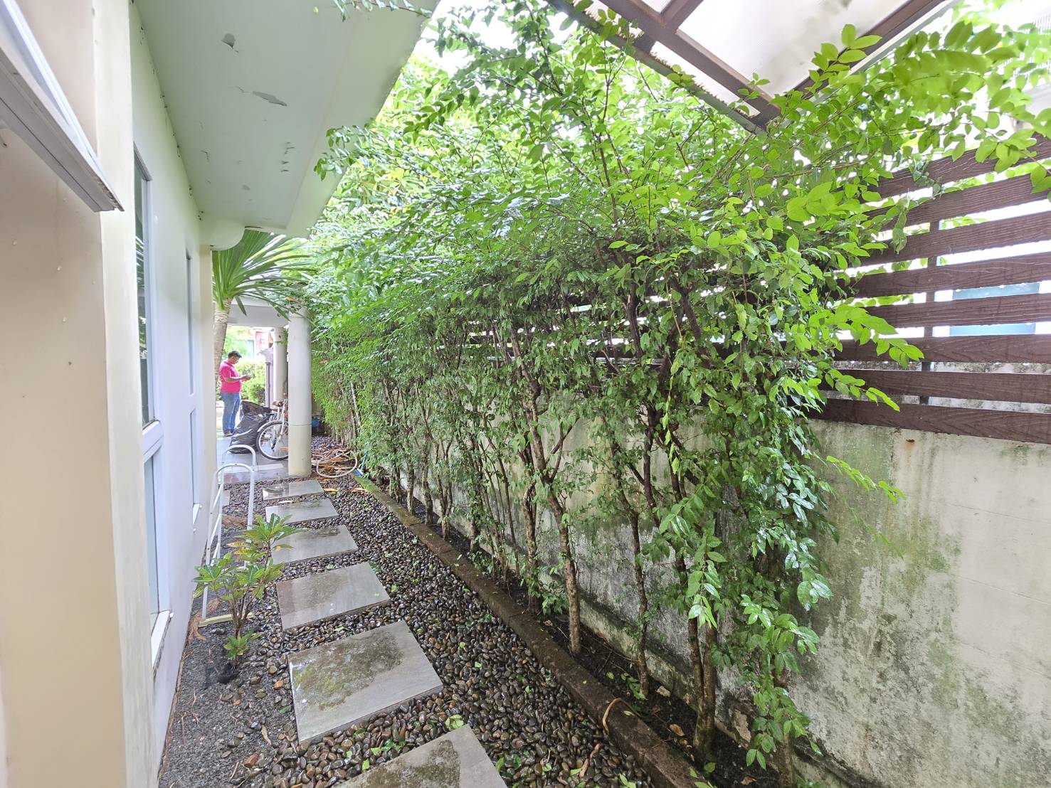 For Sales : Pakhlok, 2-storey detached house, 3 bedrooms 2 bathrooms