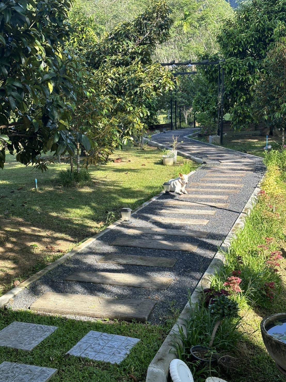 For Rent : Thalang, Single-storey detached house, 2 bedrooms 2 bathrooms