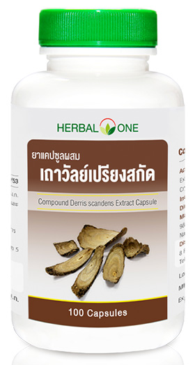เถาวัลย์เปรียงสกัด Derris scandens