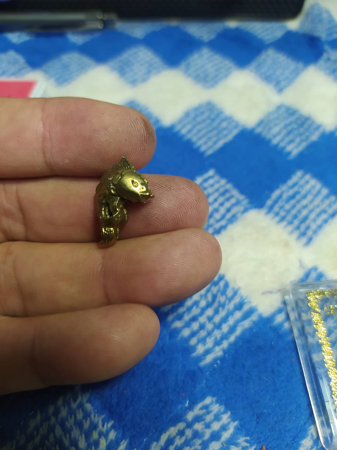 ปลาหลีฮื้อทองเงินทองกองเต็มบ้าน