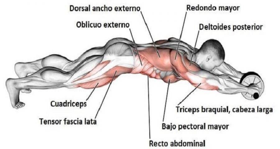 ลูกกลิ้งคู่บริหารกล้ามเนื้อเสริมซิกแพค พร้อมส่ง สินค้าคุณภาพดีมีมาตรฐาน