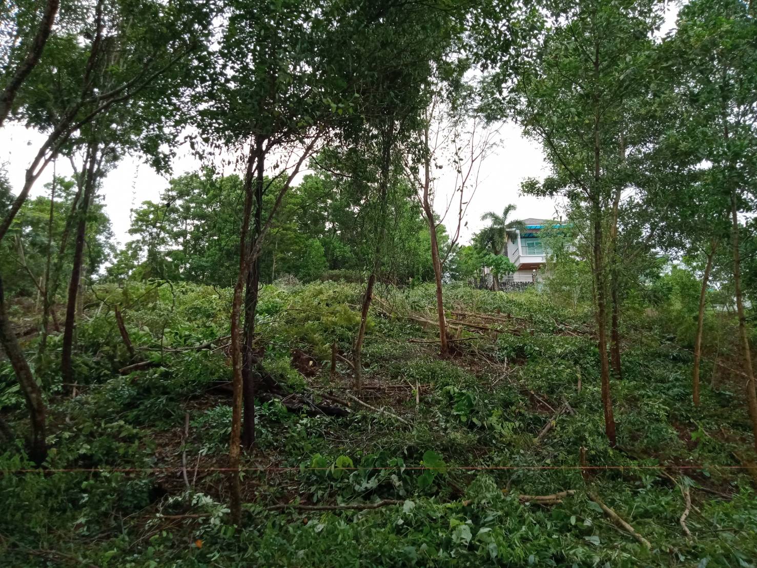 For Sales : Land Kathu, Near Phumontra , 323 Sq.w.