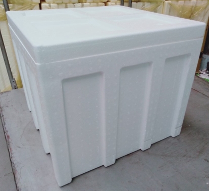 กล่องโฟม Box 54 Kg.