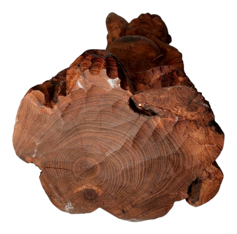 ไม้แกะสลัก สังกัจจายน์จีนถือก้อนทอง 37cm