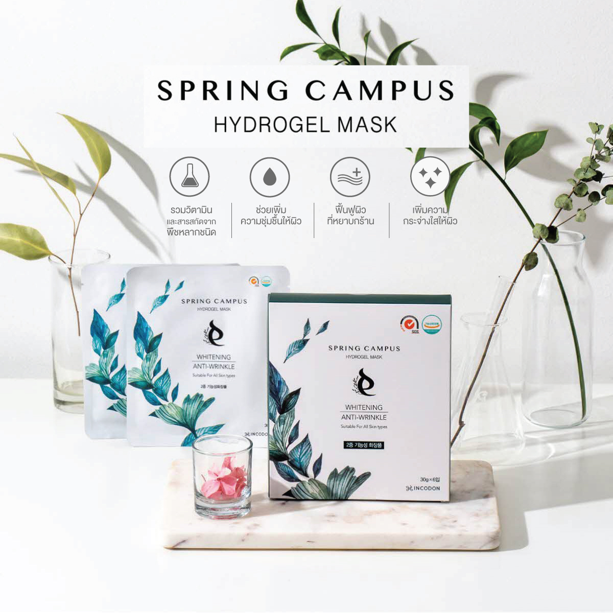 มาร์กหน้า SPRING CAMPUS HYDROGEL MASK นำเข้าจากเกาหลีใต้