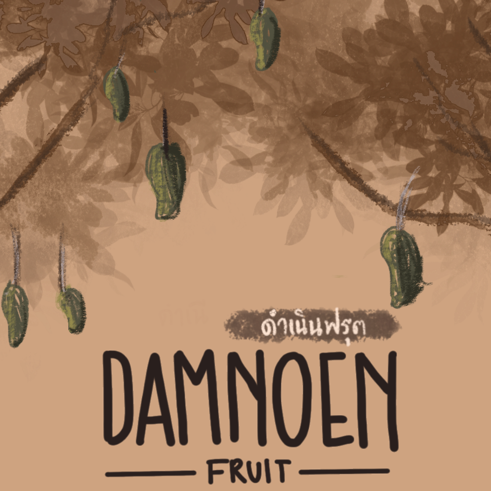 DamnoenFruit ดำเนินฟรุต