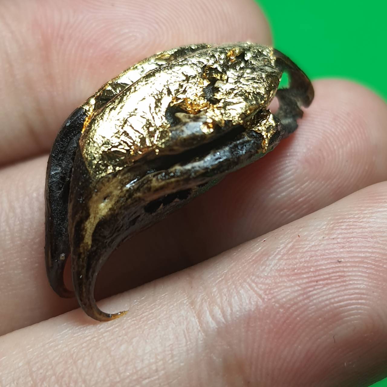 ของป้องกัน พญาเล็บครุฑ สีดำ ป้องกันภัย เพิ่มอำนาจ เกี่ยวเงินทอง เล็บครุฑ เล็บพญาครุฑ ผลเล็บครุฑ