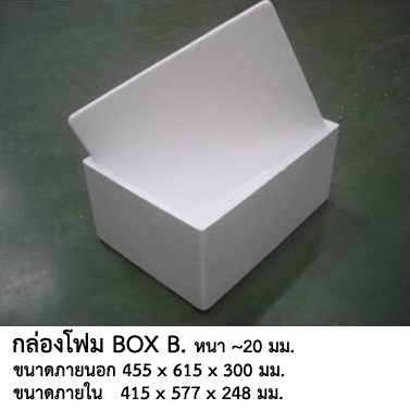 กล่องโฟม Box B
