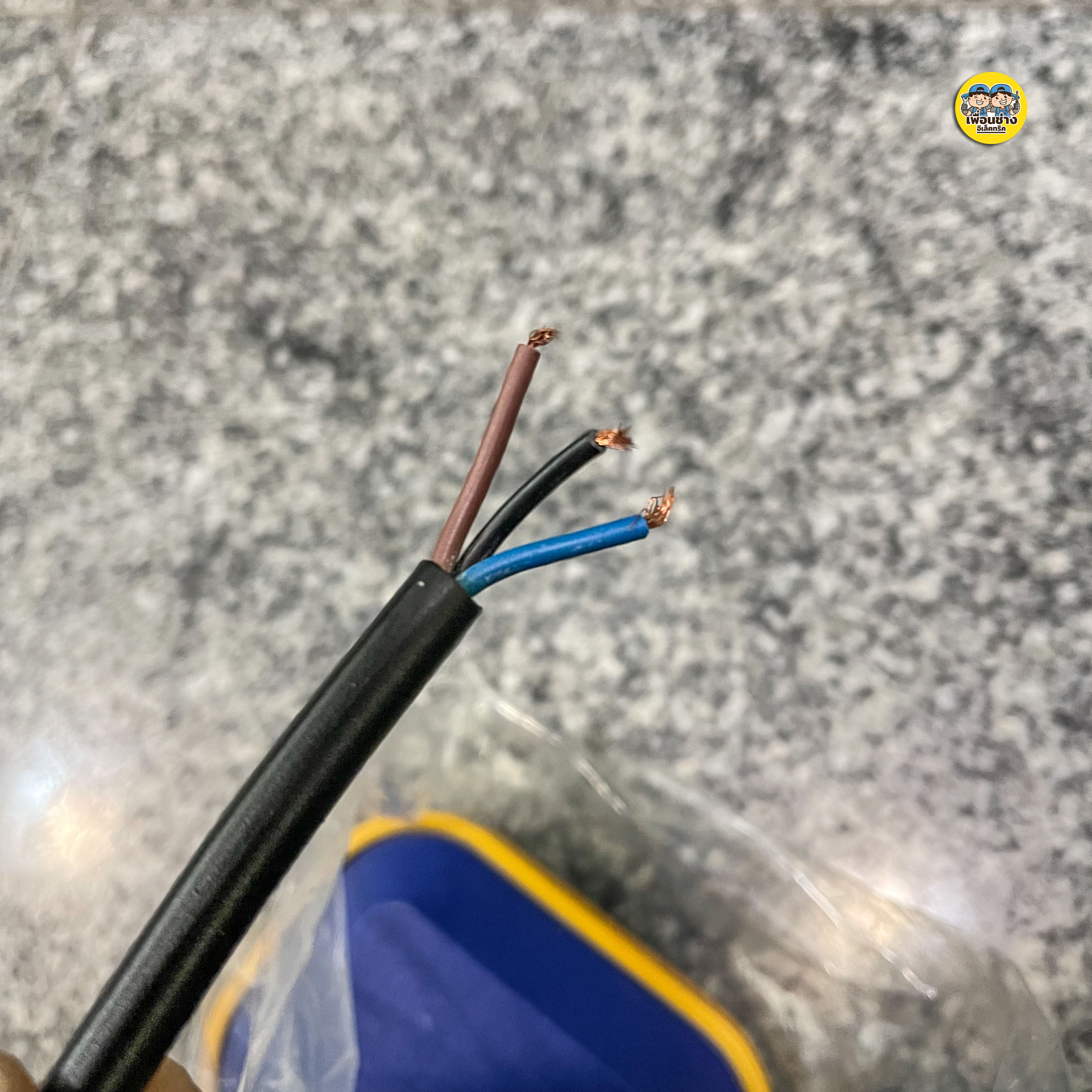 สวิทซ์ลูกลอย สวิตซ์ลูกลอยไฟฟ้า 3m. / 5m. Float switch สวิตลูกลอย สวิทลูกลอย สวิตซ์ลูกลอย ลูกลอยไฟฟ้า ลูกลอย