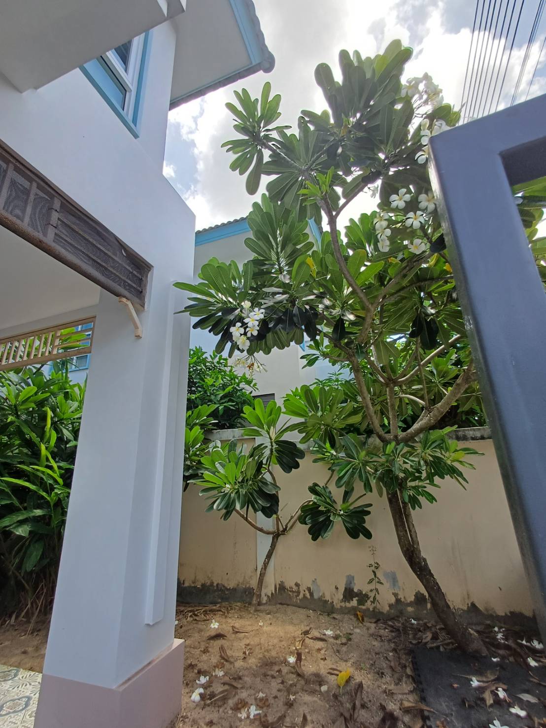 For Rent : Kathu, 2-story detached house, 3 Bedrooms 3 Bathrooms