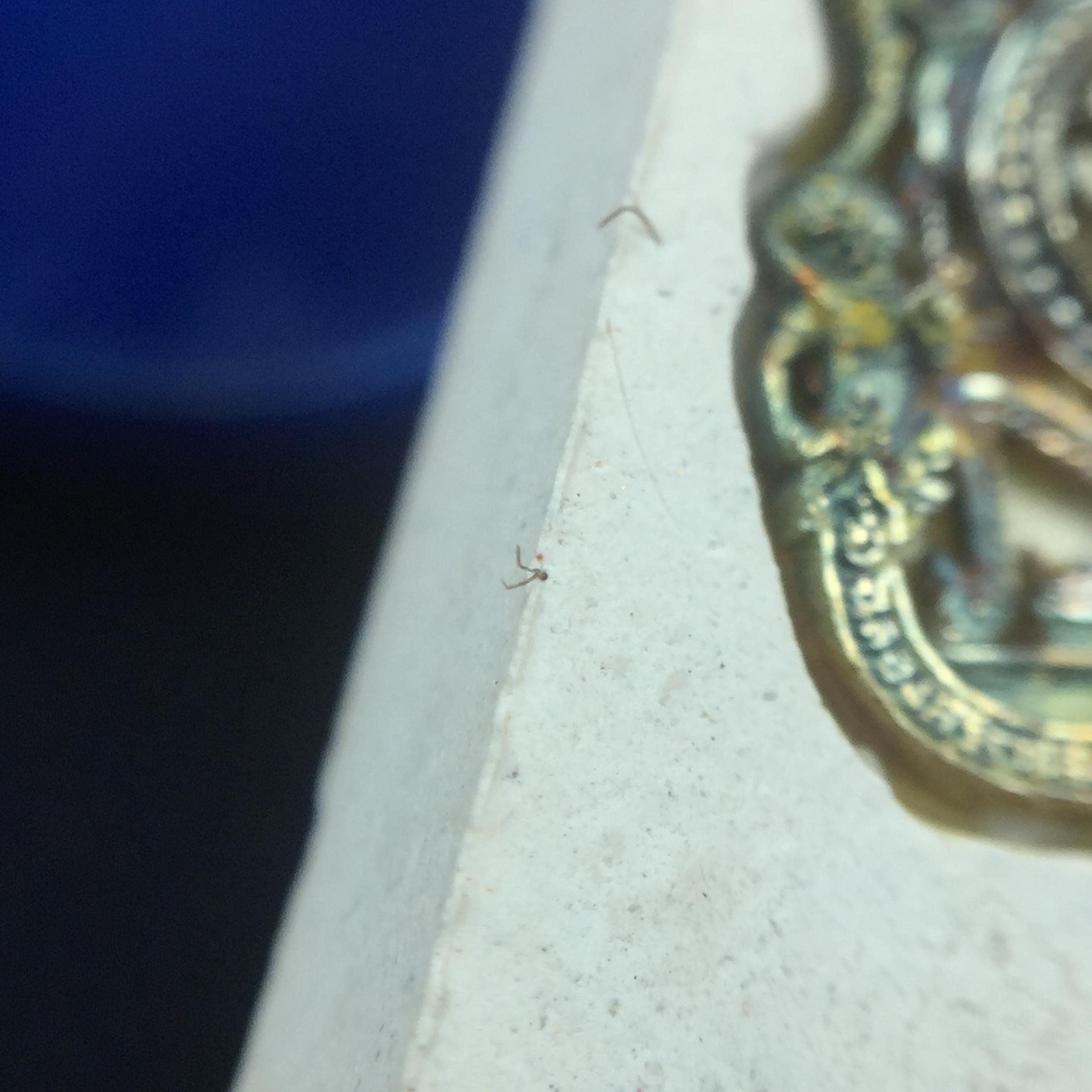 พระแก้วมรกต(จำลอง)ทรงเครื่องฤดูร้อน พระผงบูชา ด้านหน้าปิดทอง ด้านหลังตราฉลองสิริราชสมบัติครบ 60ปี เนื้อเงินขึ้นสีรุ้งธรรมชาติสร้างสรรค์งดงาม(รุ่นนี้ได้พระราชทานเส้นพระเจ้า(เส้นผม)รัชกาลที่9ในการจัดสร้าง)***องค์นี้พิเศษมองเห็นเส้นผมติดอยู่ด้านหลังชัดเจน***