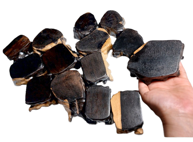 ฐานไม้มะเกลือแอฟริกันเล็กๆ--BPT931--