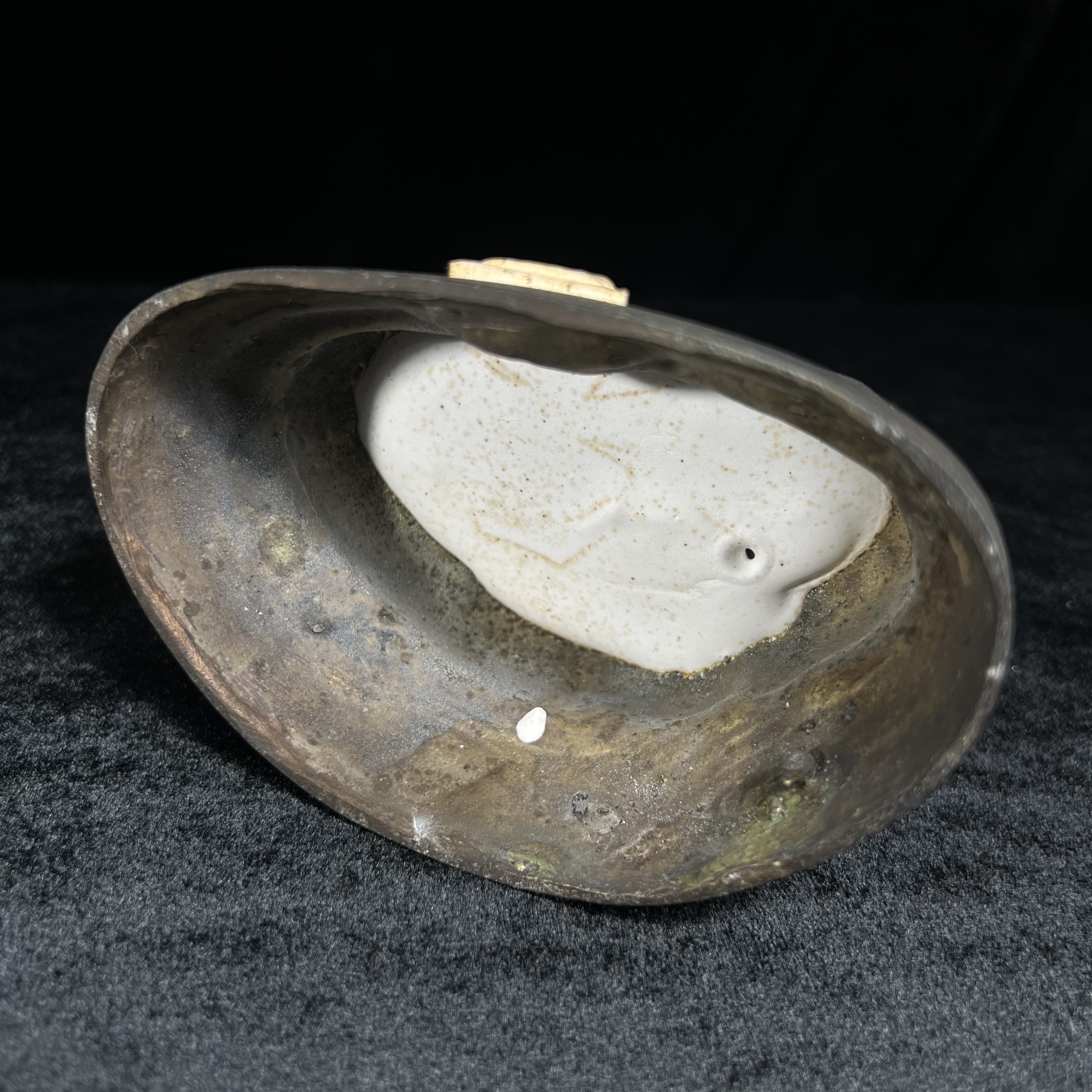 พระวุฒิจิตรลดามหามงคล ปี2542 หน้าตัก 3.5นิ้ว(อีก1ของดีที่หายาก)