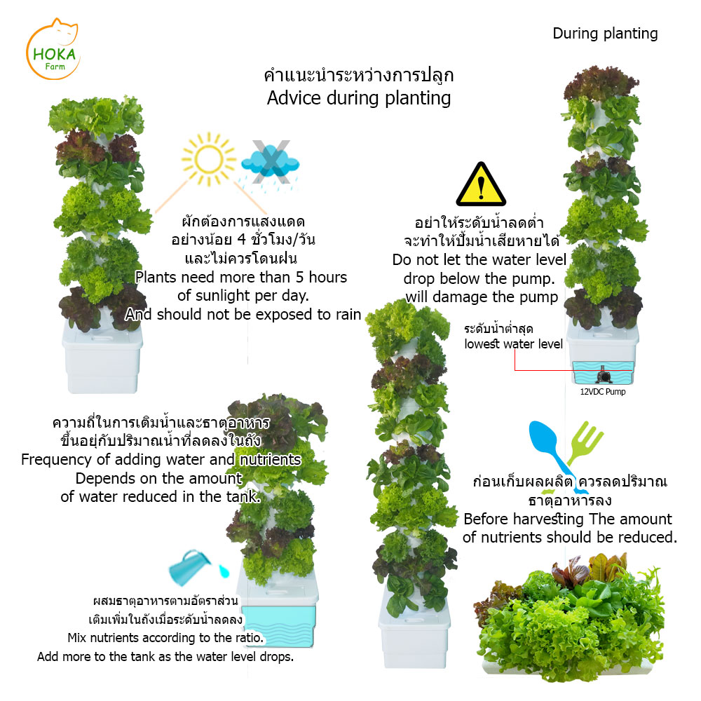 [ชุดถังน้ำ] ที่ปลูกแนวตั้ง 6 ชั้น ปลูกได้ 24 ต้น พร้อมอุปกรณ์การปลูก ครบเซต
