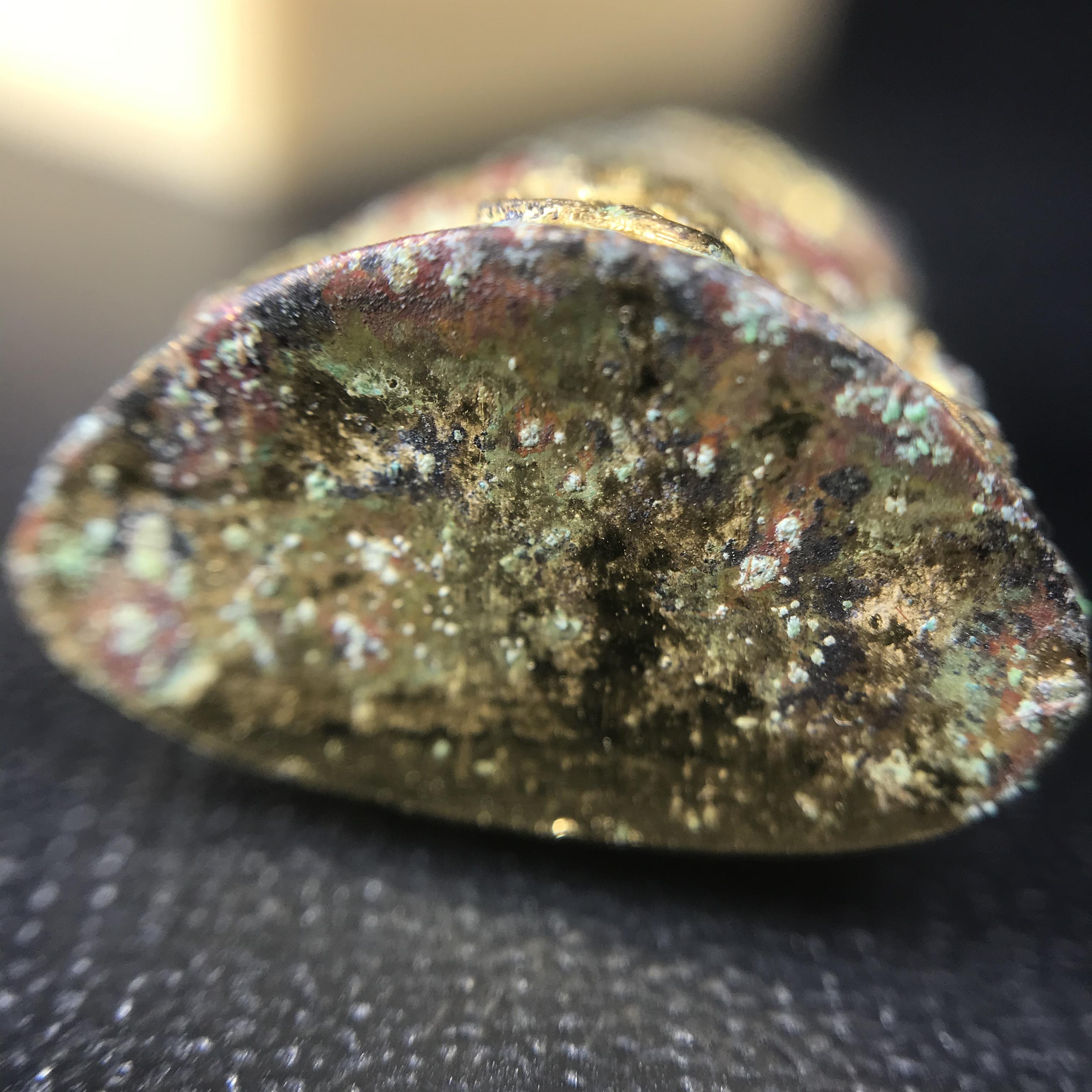 พระกริ่งโสฬส (มปร.) วัดราชประดิษฐ์ ปี 2515 เนื้อกะไหล่ทอง(กรรมการ)(กะไหล่ทองเดิมหายาก กล่องบรรจุเดิมครบ) เนื้อกะไหล่ทองเดิม สร้างน้อย หายาก หลวงปู่ทิม ปลุกเสก(ในหลวงรัชกาลที่9 เสด็จเททอง)พระดี พิธีใหญ่