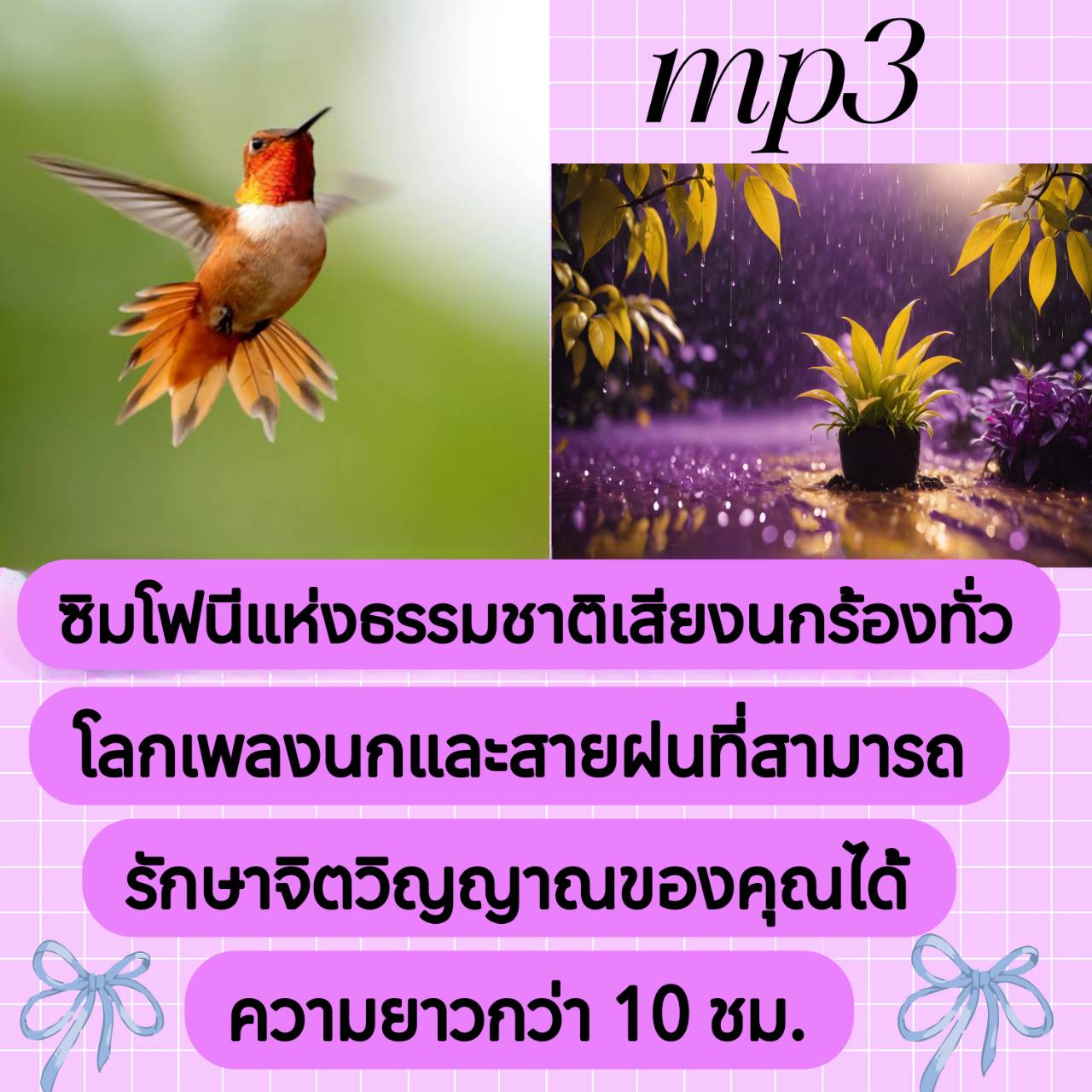 [พรเทวะ] แฟลชไดร์ฟ USb mp3 ซิมโฟนีแห่งธรรมชาติ เสียงนกร้องทั่วโลก เพลงนกและสายฝนที่สามารถรักษาจิตวิญญาณของคุณได้ ความยาวกว่า 10 ชม. ใช้กับเครื่องเล่น USB/mp3 ทุกชนิดหรือเปิดฟังในรถยนต์เปิดในคอมพิวเตอร์ได้ *** สามารถ โหลดใส่มือถือ ฟังได้ ** เปิดในคอมพิวเตอ