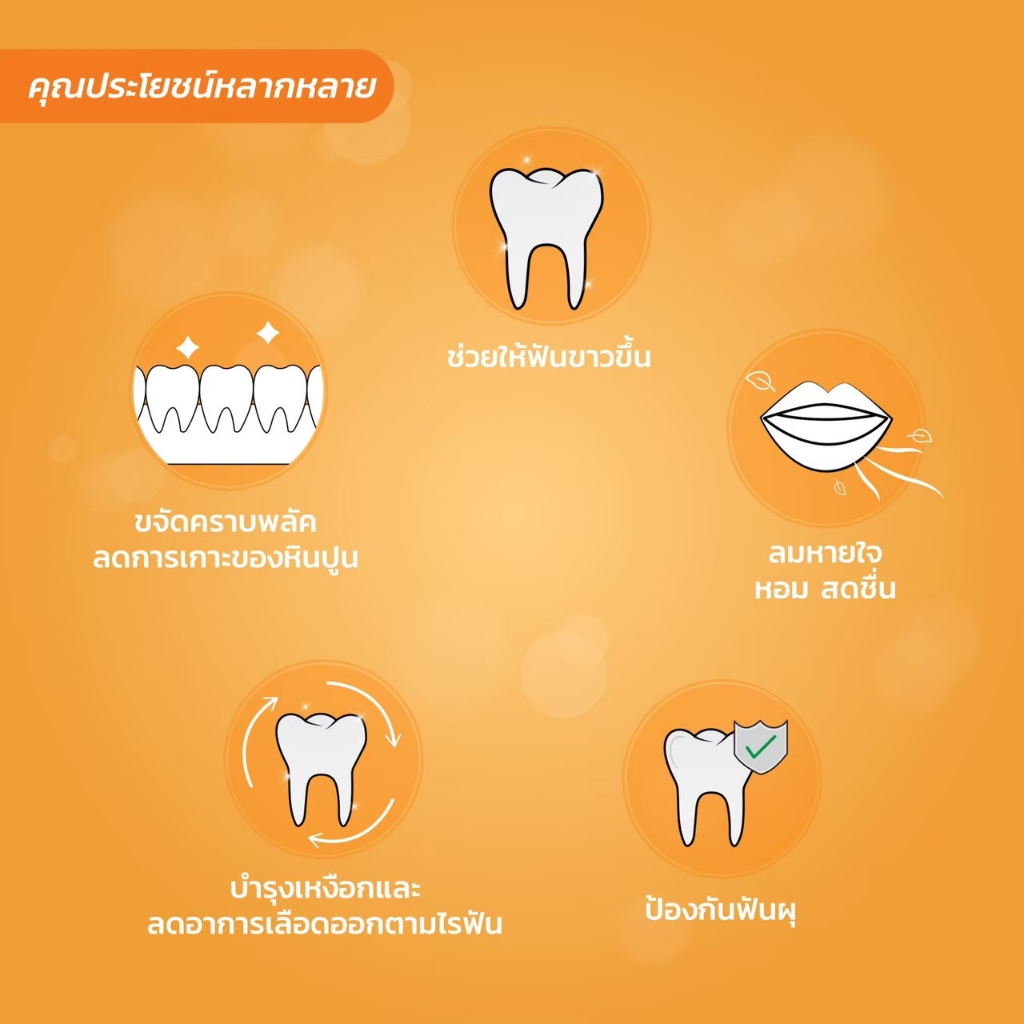 T6 Dr.Ray Peach-Mint toothpaste 150g. ( หลอดสีชมพู )