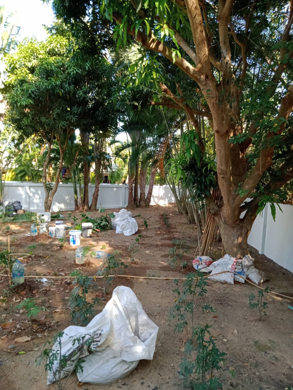 For Sales : Land Rawai, Soi Namjai , 64 SQ.W. , Garden View.