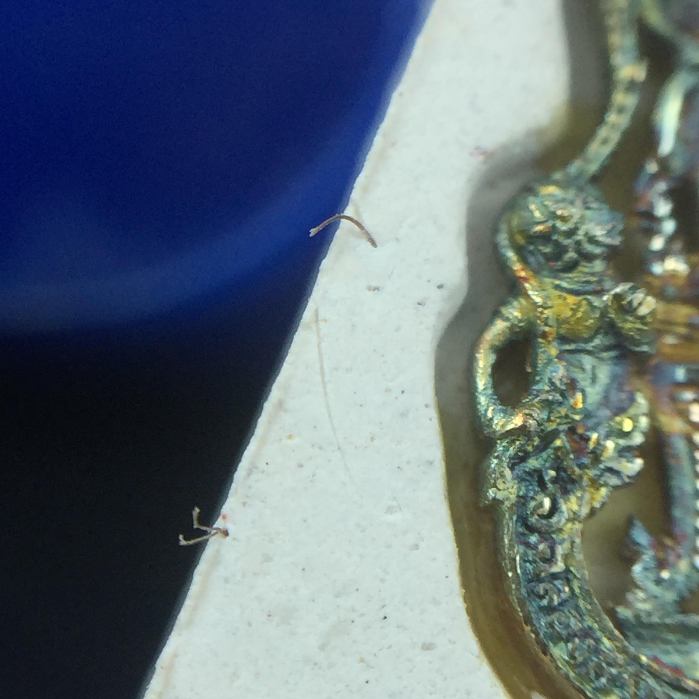 พระแก้วมรกต(จำลอง)ทรงเครื่องฤดูร้อน พระผงบูชา ด้านหน้าปิดทอง ด้านหลังตราฉลองสิริราชสมบัติครบ 60ปี เนื้อเงินขึ้นสีรุ้งธรรมชาติสร้างสรรค์งดงาม(รุ่นนี้ได้พระราชทานเส้นพระเจ้า(เส้นผม)รัชกาลที่9ในการจัดสร้าง)***องค์นี้พิเศษมองเห็นเส้นผมติดอยู่ด้านหลังชัดเจน***