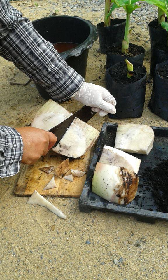 รูà¸à¸ าà¸à¸à¸µà¹à¹à¸à¸µà¹à¸¢à¸§à¸à¹à¸à¸